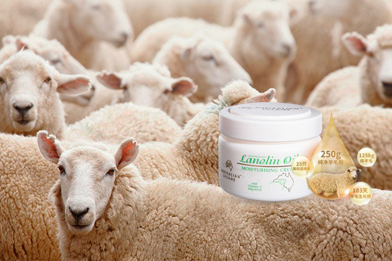 美妆、服装配饰